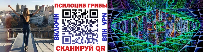 это Telegram  где купить наркоту  Уссурийск  Галлюциногенные грибы Psilocybine cubensis 